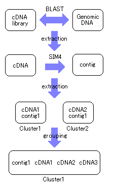 method01.jpg