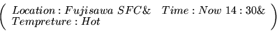 \begin{displaymath}\left(
\begin{array}{ll}
Location:Fujisawa \ SFC \& & Time:Now \ 14:30 \& \\
Tempreture:Hot & \\
\end{array}\right)\end{displaymath}