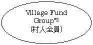 ȉ~: Village Fund Group*2
(lS)
