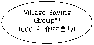 ȉ~: Village Saving Group*3
(600l ܂)
