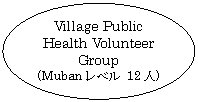ȉ~: Village Public Health Volunteer Group
(Mubanx 12l)
