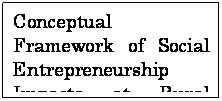 eLXg {bNX: Conceptual Framework of Social Entrepreneurship Impacts at Rural Setting