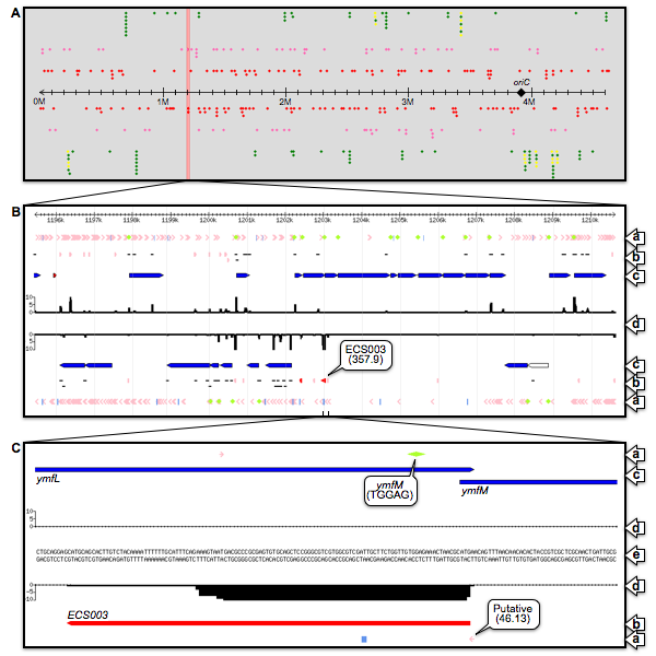 fig.2