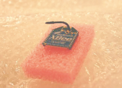 ZigBee